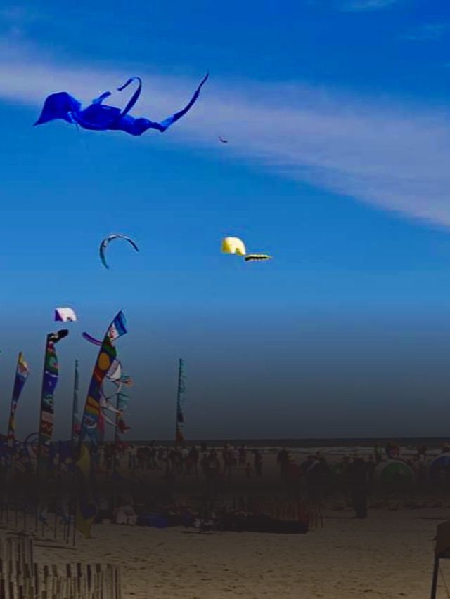 Makar Sankranti 2025