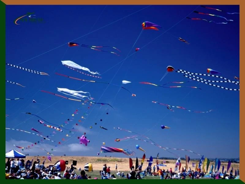 Makar Sankranti 2025