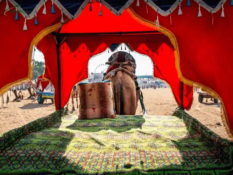 Desert Safari in Rajasthan