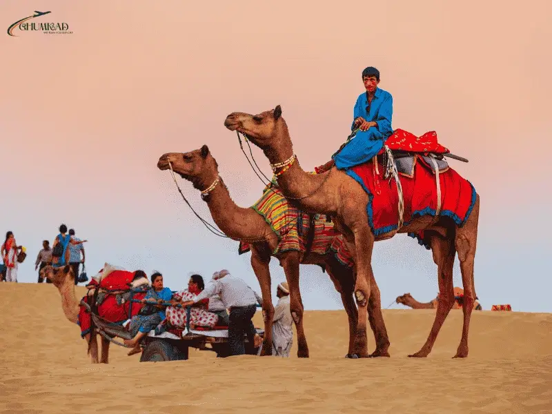 Desert Safari in Rajasthan