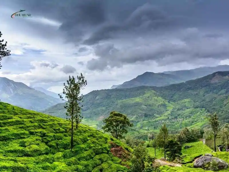 Visit in India During Monsoon