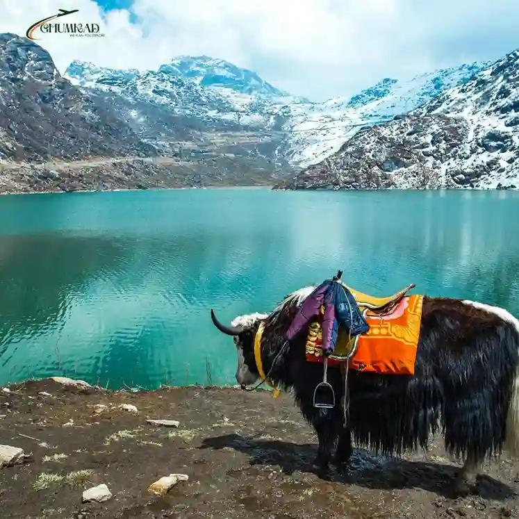 Sikkim